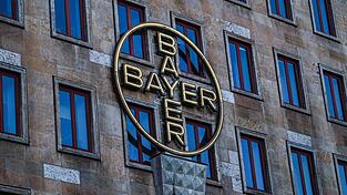 Das Bayerlogo an einem Verwaltungsgeb&auml;ude in Leverkusen.