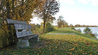 Eine einsame Bank steht auf dem Damm hinter dem Kiefenholzer Sportplatz. Früher standen dort mehrere Bänke in regelmäßigen Abständen - die sind aber über die Jahre verschwunden. Die Kiefenholzer wünschen sich wieder mehr davon. Eine einsame Bank steht auf dem Damm hinter dem Kiefenholzer Sportplatz. Früher standen dort mehrere Bänke in regelmäßigen Abständen - die sind aber über die Jahre verschwunden. Die Kiefenholzer wünschen sich wieder mehr davon.