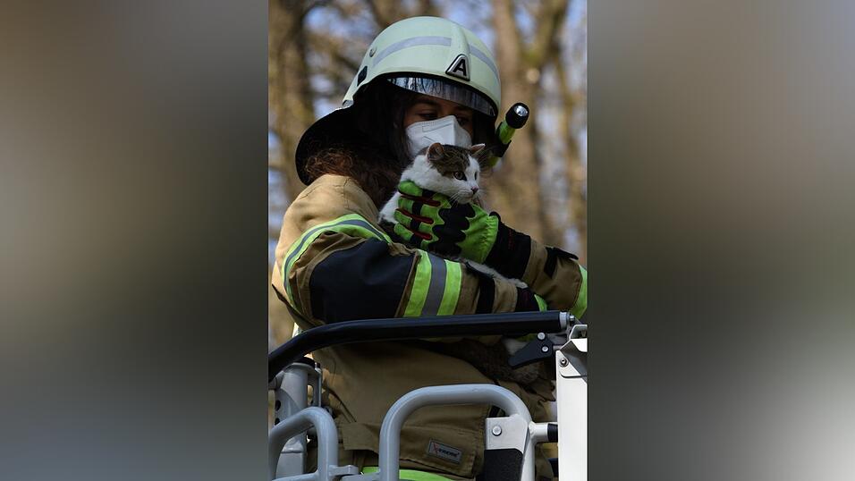 Um die Katze aus ihrer schwierigen Lage zu befreien, begaben sich zwei Feuerwehrleute im Korb an der Drehleiter in luftige Höhen. Um die Katze aus ihrer schwierigen Lage zu befreien, begaben sich zwei Feuerwehrleute im Korb an der Drehleiter in luftige Höhen.