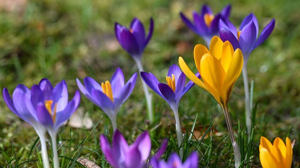 Gerade in den vergangenen Tagen gab es Sonne in Deutschland.