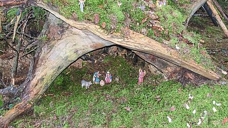 Als die Kinder einer Rottenburger Familie vor Jahren die Wurzel entdeckten, meinten sie, dort k&ouml;nnten Krippenfiguren perfekt Unterschlupf finden.