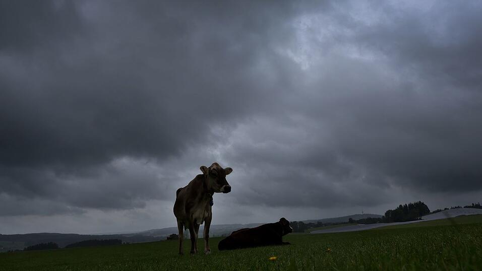 Am Dienstag soll es viel Regen und einzelne Gewitter geben. (Archivbild) Am Dienstag soll es viel Regen und einzelne Gewitter geben. (Archivbild)