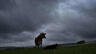 Am Dienstag soll es viel Regen und einzelne Gewitter geben. (Archivbild) Am Dienstag soll es viel Regen und einzelne Gewitter geben. (Archivbild)