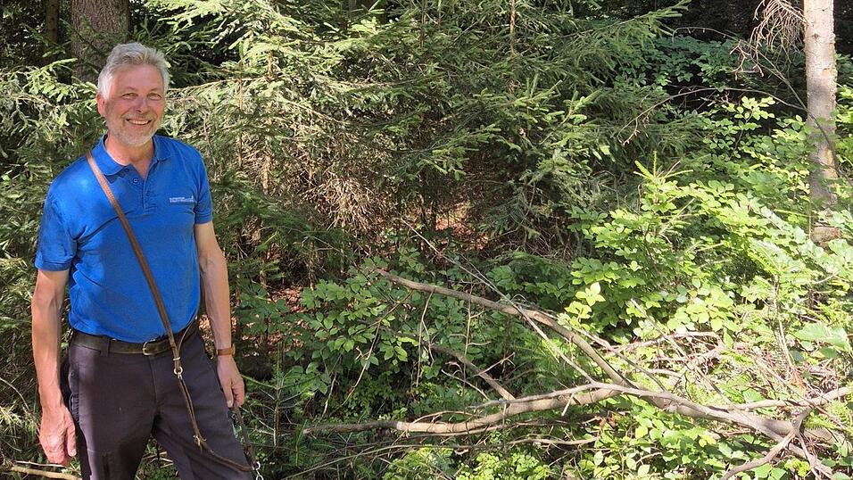 Ohne seinen vierbeinigen Begleiter Dora ist Dr. Arthur Bauer nicht anzutreffen. Zu seinem letzten Gespr&auml;ch als Forstdirektor im Landkreis Cham w&auml;hlte er einen vorbildlich gef&uuml;hrten Plenterwald auf der H&ouml;llh&ouml;he.