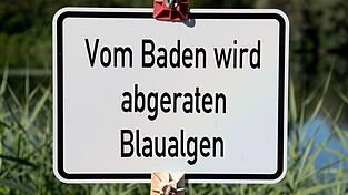 Das Gesundheitsamt warnt vor dem Baden. (Symbolbild)