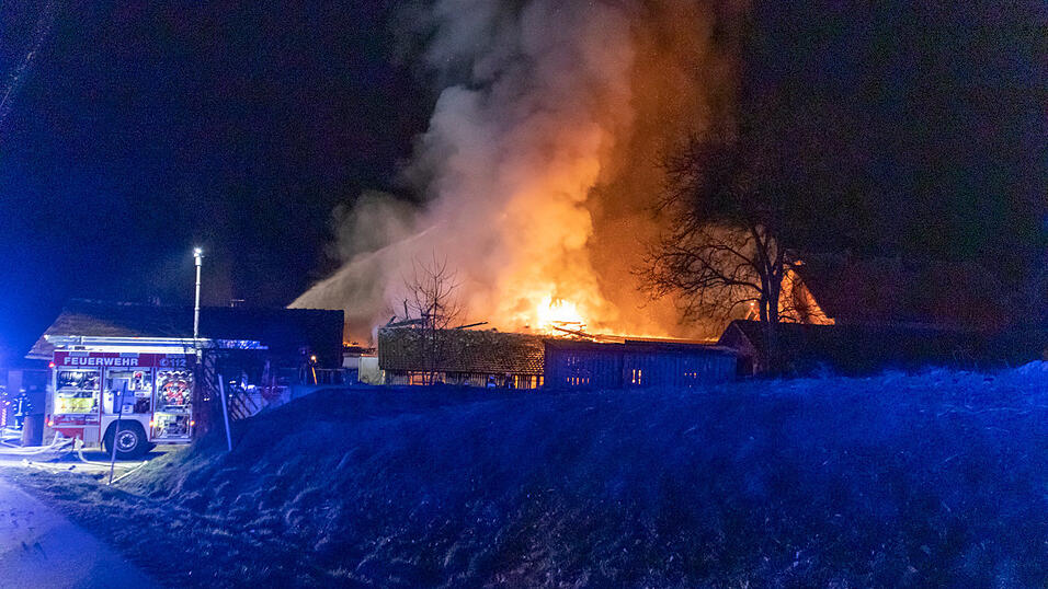 Mehrere Rinder sind bei einem Brand auf einem Bauernhof im Landkreis Deggendorf ums Leben gekommen.