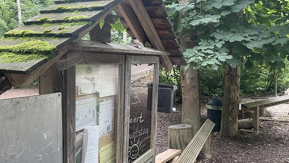 Der Waldkindergarten Landshut existiert seit mehr als 20 Jahren.