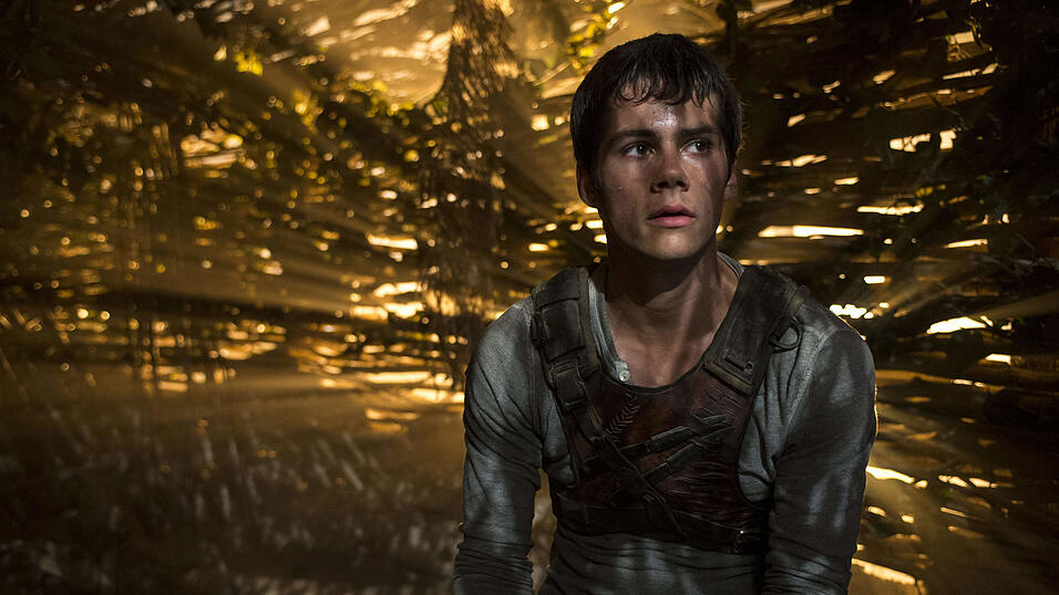 Die Figur Thomas aus der Buchreihe 'Maze Runner' von James Dasher fand Svenja in der Verfilmung gut besetzt. Foto: Twentieth Century Fox