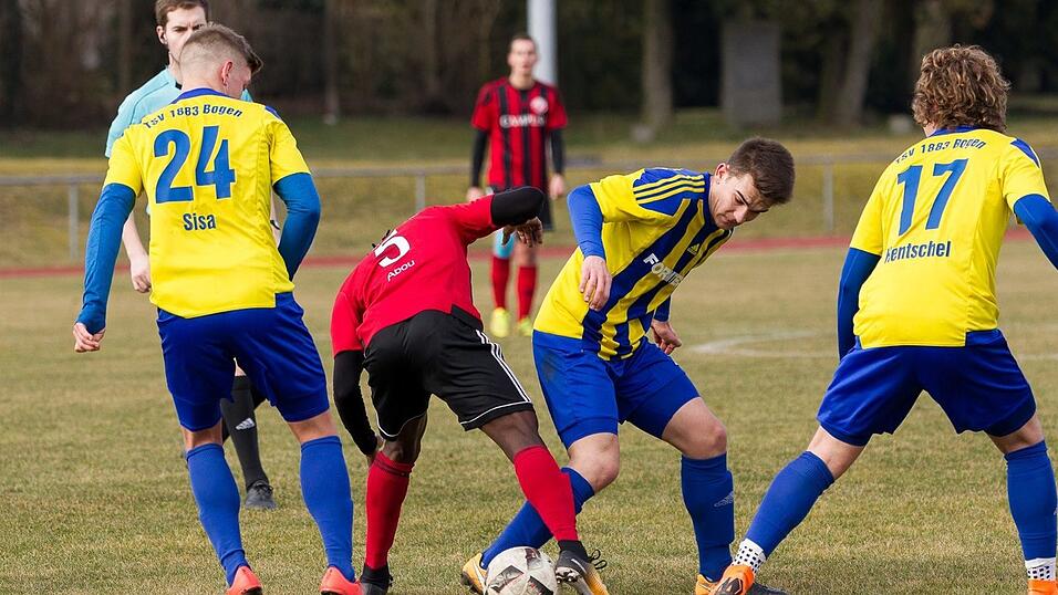 Der TSV Bogen wird kommende Saison nicht mehr in der Landesliga Mitte um Punkte kämpfen. Der TSV Bogen wird kommende Saison nicht mehr in der Landesliga Mitte um Punkte kämpfen.