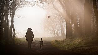 Hunde m&uuml;ssen k&uuml;nftig registriert und gechippt sein. Privatleute haben aber einige Jahre Zeit daf&uuml;r. (Symbolbild)