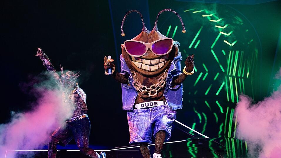 Die Stinkwanze «Dude» ist bei der ProSieben-Show «The Masked Singer» raus. (Archivbild)