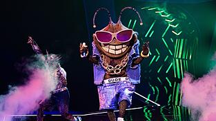 Die Stinkwanze «Dude» ist bei der ProSieben-Show «The Masked Singer» raus. (Archivbild) Die Stinkwanze «Dude» ist bei der ProSieben-Show «The Masked Singer» raus. (Archivbild)
