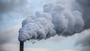 Die H&ouml;he des Preises und starke Schwankungen bremsen Investitionen in klimafreundliche Projekte, meint das Ifo. (Symbolbild)