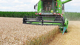 Ein Landwirt bei der Getreideernte: Der Winterweizen wurde bereits im Herbst ausgesät, vor allem hochwertige Qualitäten mit einem hohen Eiweißgehalt lassen sich nur schwer und auch nur mit Preisabschlägen vermarkten. Ein Landwirt bei der Getreideernte: Der Winterweizen wurde bereits im Herbst ausgesät, vor allem hochwertige Qualitäten mit einem hohen Eiweißgehalt lassen sich nur schwer und auch nur mit Preisabschlägen vermarkten.