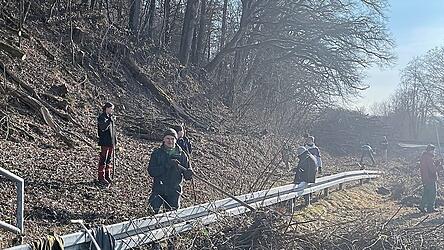 Freiwillige aus ganz Deutschland befreien den Bahndamm bei Metten von Brombeeren, um der Schlingnatter sonnige Plätze zu schaffen.