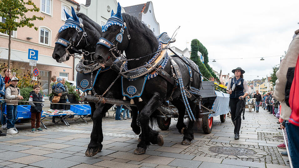 Der Dionysimarkt am Sonntag präsentierte sich als Publikumsmagnet. Der Dionysimarkt am Sonntag präsentierte sich als Publikumsmagnet.