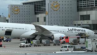 Das Flugzeug soll jetzt untersucht werden. Das Flugzeug soll jetzt untersucht werden.