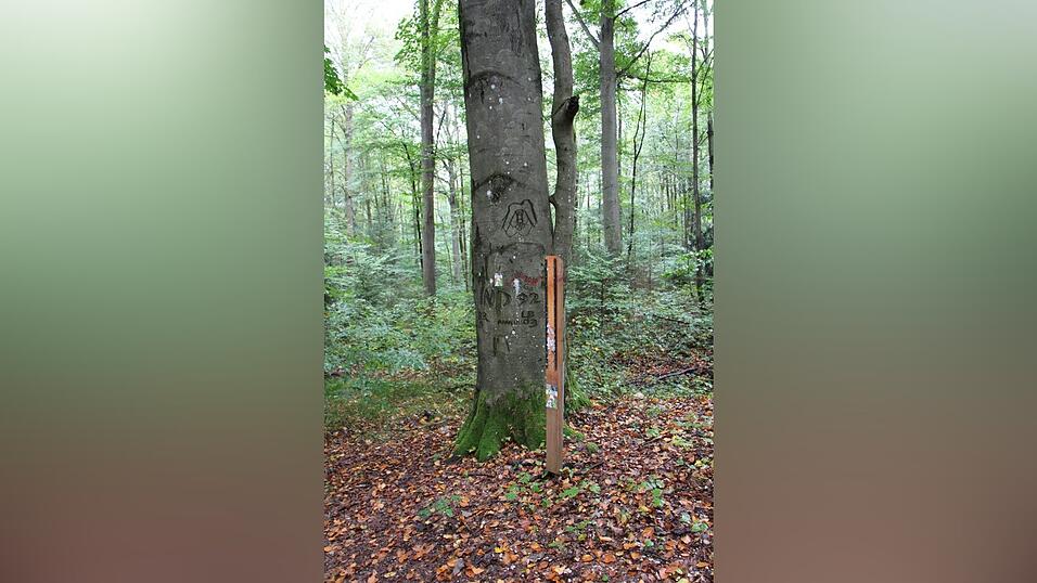Der Bauhof hat die beschmierten Tafeln des Waldlehrpfads entfernt.