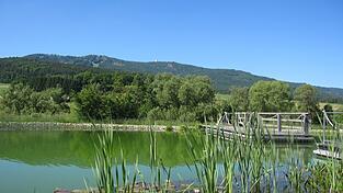 Vom Naturbad, wie dem in Neukirchen, bis zum See untersuchen Hygienekontrolleure des Landkreises die Badestellen.