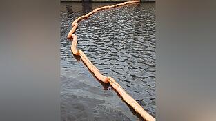 Die Diesel-Schlieren an der Wasseroberfl&auml;che sind gut zu erkennen.