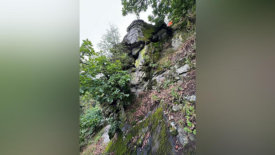 Die Arbeiten am Hang sind aufwendig.