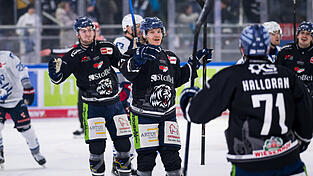 Das 1:0, das Mario Zimmermann hier mit seinen Teamkollegen feiert, war der fr&uuml;he Auftakt f&uuml;r eine &uuml;berzeugende Leistung der Straubing Tigers gegen die Adler Mannheim.