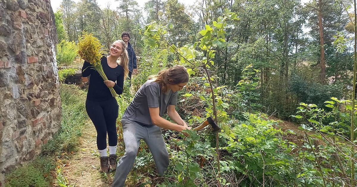 15 Studenten aus aller Welt verbringen zwei Wochen in Runding