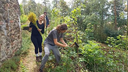Mit der Axt r&uuml;ckt Martin aus Belgien den Str&auml;uchern zu Leibe, Anna aus der Ukraine tr&auml;gt sie anschlie&szlig;end weg. W&auml;hrend ein Teil der Studenten auf der Ruine arbeitet, k&uuml;mmern sich die anderen um Kochen und Eink&auml;ufe.