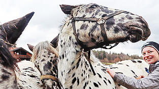Goliath, Lord und Friedrich - hier mit Nina Hoidn - k&ouml;nnten die n&auml;chste Generation der Brautpferde sein.