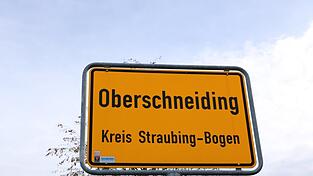 In Oberschneiding gibt es ein Naturbad. Der Gemeinderat überlegt gerade, wie es am besten saniert werden kann.