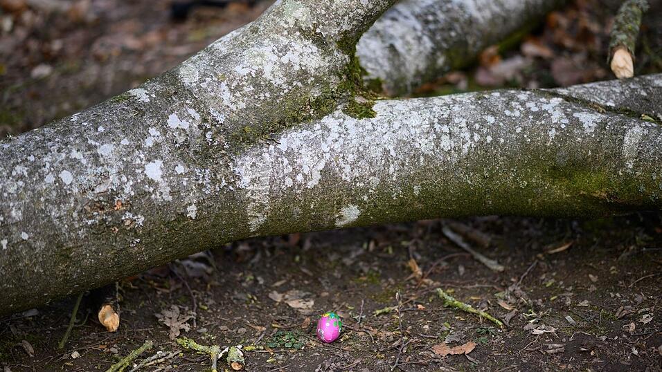 Bei einem Ungl&uuml;ck am Ostersonntag sterben im n&ouml;rdlichen Schleswig-Holstein drei Menschen.