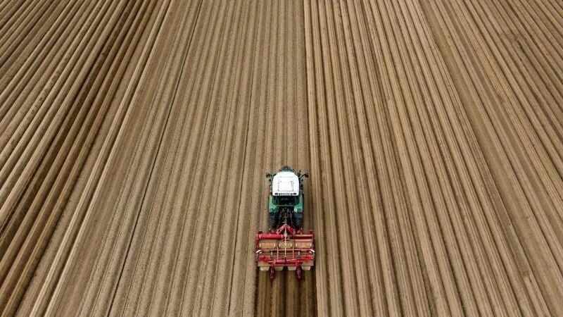 Laut dem Statistischen Bundesamt sichert jeder zweite landwirtschaftliche Betrieb in Deutschland sein Einkommen mit Hilfe zusätzlicher Einnahmequellen. (Symbolbild) Laut dem Statistischen Bundesamt sichert jeder zweite landwirtschaftliche Betrieb in Deutschland sein Einkommen mit Hilfe zusätzlicher Einnahmequellen. (Symbolbild)