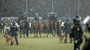 Beim DFB-Pokalspiel in Mannheim war auch berittene Polizei auf dem Spielfeld. Beim DFB-Pokalspiel in Mannheim war auch berittene Polizei auf dem Spielfeld.
