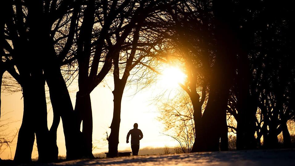 Guter Ausgleich: Im Wald oder am Wasser finden viele L&auml;ufer Ruhe.