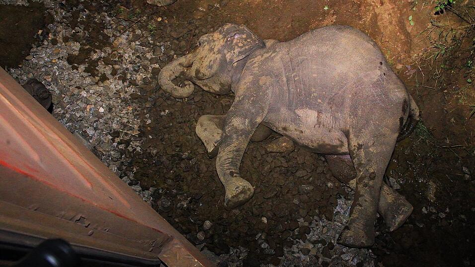 Ein toter Elefant liegt neben einem entgleisten Zugwaggon, nachdem ein Personenzug mit einer Elefantenherde zusammengestoßen ist. (Foto aktuell) Ein toter Elefant liegt neben einem entgleisten Zugwaggon, nachdem ein Personenzug mit einer Elefantenherde zusammengestoßen ist. (Foto aktuell)