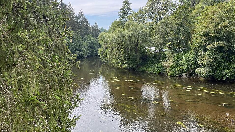 Wunderschönes Ausflugsziel in Passau: die Halser Ilzschleifen. Wunderschönes Ausflugsziel in Passau: die Halser Ilzschleifen.