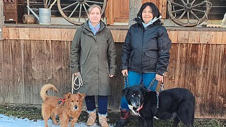 Steffie Mook (links) mit ihrem Pflegehund Johnny und Xenia Mader mit ihrem Hundesenior Blacky. Beide Hunde stammen aus Griechenland. Steffie Mook (links) mit ihrem Pflegehund Johnny und Xenia Mader mit ihrem Hundesenior Blacky. Beide Hunde stammen aus Griechenland.