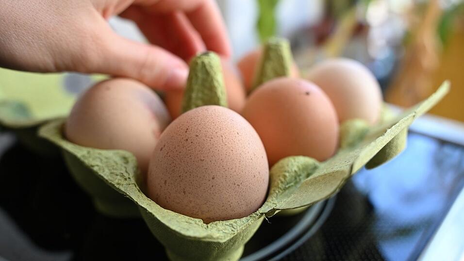 Einen Notstand bei der Eier-Versorgung gibt es nicht - aber L&uuml;cken in den Regalen der H&auml;ndler. (Symbolbild)