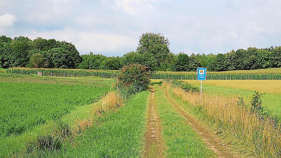 Im Bereich Pattendorf sollten zwei Vorfeldmessstellen errichtet werden, um für die geplante Schutzgebietsausweisung ausreichend Erkenntnisse zu gewinnen. Der bereits erteilte Auftrag wurde zurückgenommen.