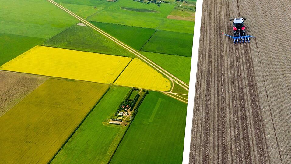 Saskatchewan statt G&auml;uboden:&nbsp;Dreieinhalb Monate arbeiteten Thomas Bachmeier und Raphael Sch&uuml;tz sie in Kanada &ndash; auf einer Farm, die 5 500 Hektar gro&szlig; ist.