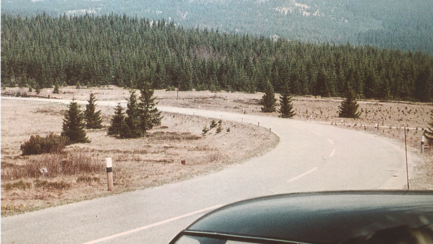 Hermann Geisels Bunker auf dem Scheibensattel war ungef&auml;hr dort, wo das Auto steht.