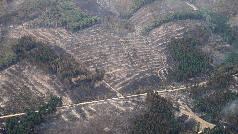 Die Aufnahme aus einem Flugzeug zeigt das Waldbrandgebiet im Hürtgenwald. Die Aufnahme aus einem Flugzeug zeigt das Waldbrandgebiet im Hürtgenwald.