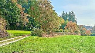 Die Leiche wurde in einem Waldstück zwischen Wodsteg und Stausee von einem Spaziergänger entdeckt.