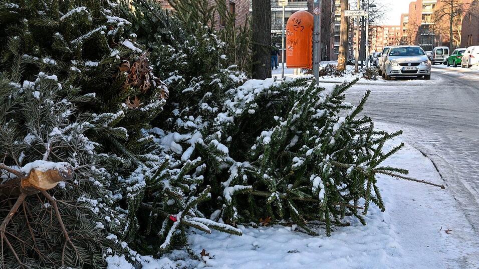 Die Christb&auml;ume waren jeweils mit vier Euro als Spende f&uuml;r die Pfadfinder best&uuml;ckt. (Symbolbild)