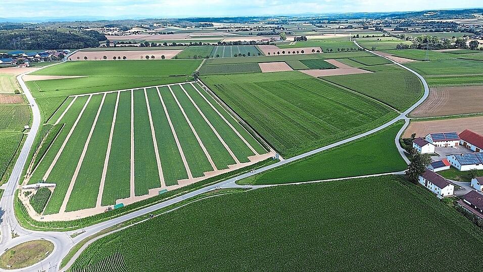 Modernisiert wird die Staatsstraße zwischen Eichendorf und Wallersdorf. Demnächst beginnen die Arbeiten im knapp zwei Kilometer langen Abschnitt beim Kreisverkehr nahe Hörmannsdorf. Modernisiert wird die Staatsstraße zwischen Eichendorf und Wallersdorf. Demnächst beginnen die Arbeiten im knapp zwei Kilometer langen Abschnitt beim Kreisverkehr nahe Hörmannsdorf.