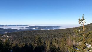 Im Bayerischen Wald gibt es nicht nur eine schöne Aussicht, sondern auch viele weltoffene Leute. Im Bayerischen Wald gibt es nicht nur eine schöne Aussicht, sondern auch viele weltoffene Leute.
