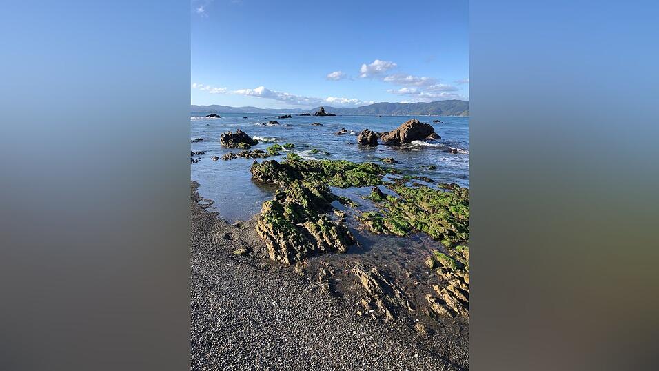 Eindrücke von Alexandras Zeit in Neuseeland.