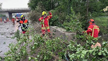 Im ganzen Landkreis r&auml;umten Feuerwehrleute nach dem Gewittersturm am Samstagnachmittag umgest&uuml;rzte B&auml;ume und herabgefallene &Auml;ste von den Fahrbahnen.