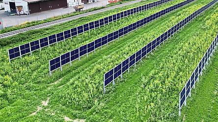 Ein Agri-PV-Park wie hier nahe Altötting könnte ab 2026 auch in Rannersdorf gebaut werden. Der Gemeinderat jedenfalls gab grünes Licht.