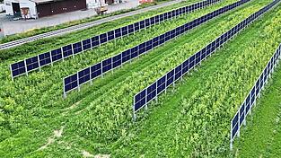 Ein Agri-PV-Park wie hier nahe Altötting könnte ab 2026 auch in Rannersdorf gebaut werden. Der Gemeinderat jedenfalls gab grünes Licht.